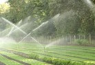 Wilbingalandscaping-water-management-and-drainage-17.jpg; ?>