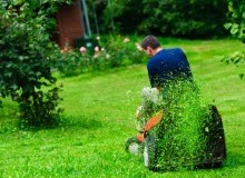 Kwikfynd Lawn Mowing
wilbinga
